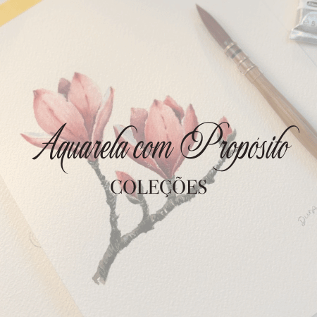 Coleção Lugares e Detalhes