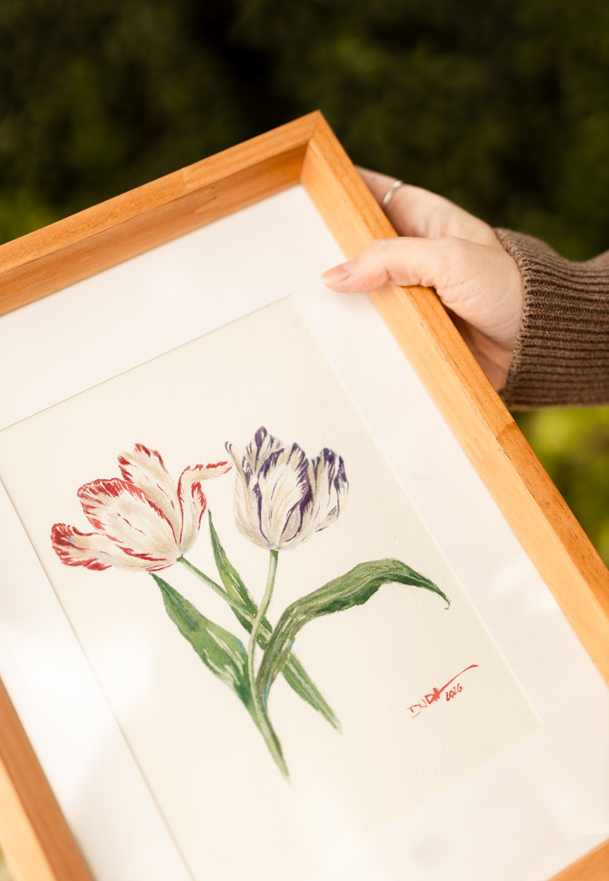 Detalhe do workshop de tulipas em aquarela